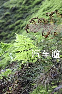 汽车逾期年检两年怎么办