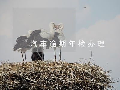 汽车逾期年检办理 汽车逾期年检办理