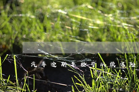 汽车逾期年检可以续保险吗
