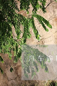 汽车逾期年检后果 汽车逾期年检后果