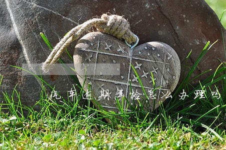 汽车逾期年检怎么办理吗 汽车逾期年检怎么办理吗