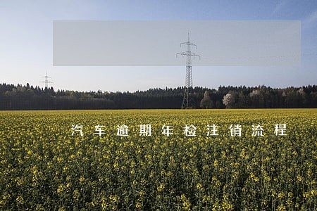汽车逾期年检注销流程 汽车逾期年检注销流程