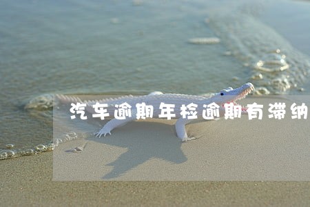 汽车逾期年检逾期有滞纳金吗 汽车逾期年检逾期有滞纳金吗