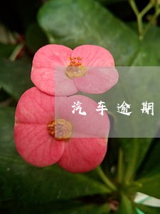 汽车逾期扣车罚款要一万元吗 汽车逾期扣车罚款要一万元吗