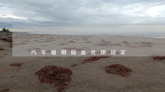 汽车逾期报废处理规定