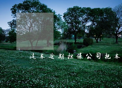 汽车逾期担保公司把车强行开走 汽车逾期担保公司把车强行开走