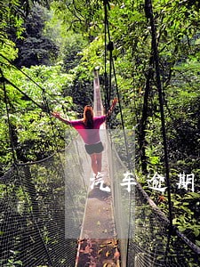 汽车逾期未审验怎么解决 汽车逾期未审验怎么解决