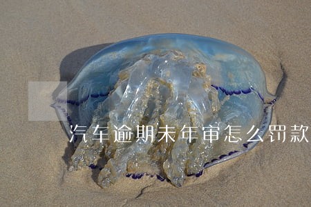 汽车逾期未年审怎么罚款 汽车逾期未年审怎么罚款