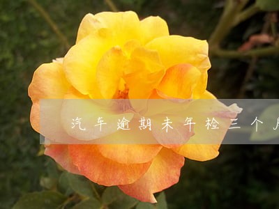 汽车逾期未年检三个月 汽车逾期未年检三个月