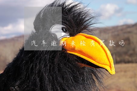 汽车逾期未检有罚款吗 汽车逾期未检有罚款吗