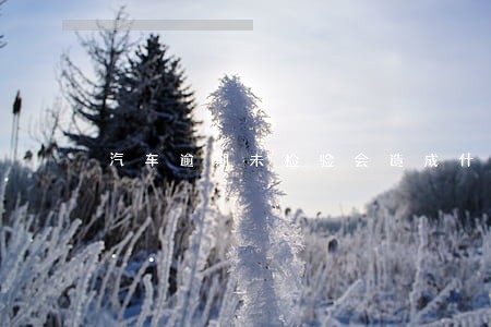 汽车逾期未检验会造成什么后果 汽车逾期未检验会造成什么后果