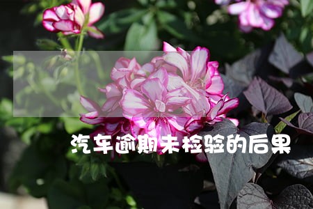 汽车逾期未检验的后果 汽车逾期未检验的后果