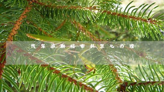 汽车逾期检审书怎么办理 汽车逾期检审书怎么办理