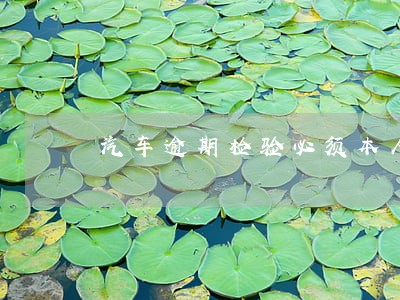 汽车逾期检验必须本人罚款吗 汽车逾期检验必须本人罚款吗