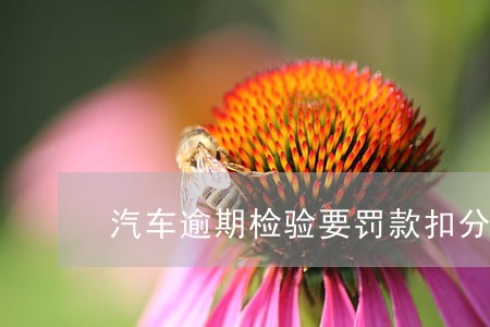 汽车逾期检验要罚款扣分吗 汽车逾期检验要罚款扣分吗