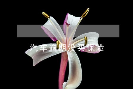 汽车逾期没买保险 汽车逾期没买保险