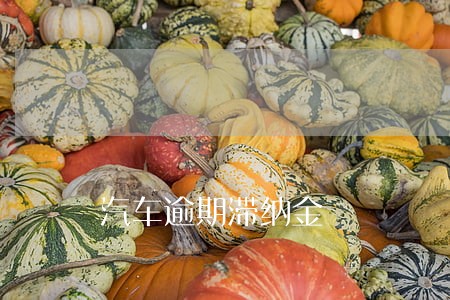 汽车逾期滞纳金