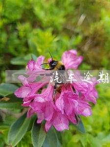 汽车逾期申请检字处罚吗 汽车逾期申请检字处罚吗