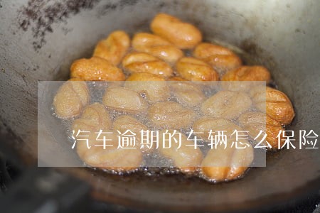 汽车逾期的车辆怎么保险 汽车逾期的车辆怎么保险
