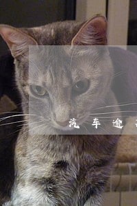 汽车逾期租赁怎么办 汽车逾期租赁怎么办