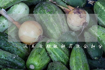 汽车逾期缴纳罚款会扣分 汽车逾期缴纳罚款会扣分