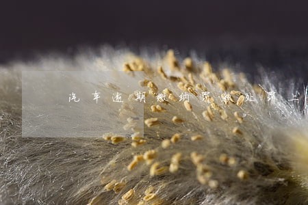 汽车逾期缴纳罚款处罚上限 汽车逾期缴纳罚款处罚上限