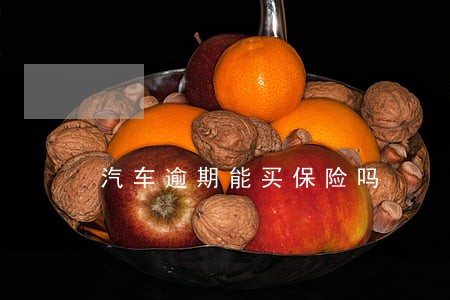 汽车逾期能买保险吗 汽车逾期能买保险吗
