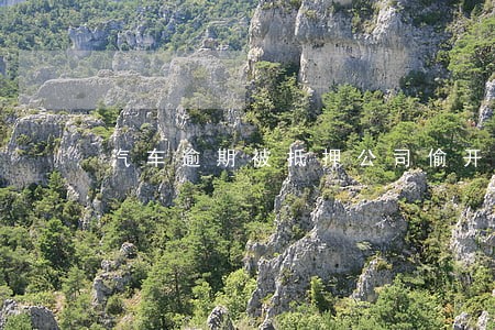汽车逾期被抵押公司偷开走