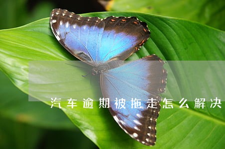 汽车逾期被拖走怎么解决 汽车逾期被拖走怎么解决