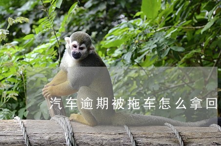 汽车逾期被拖车怎么拿回车子 汽车逾期被拖车怎么拿回车子