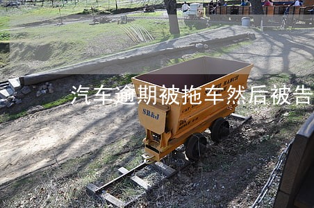 汽车逾期被拖车然后被告了 汽车逾期被拖车然后被告了