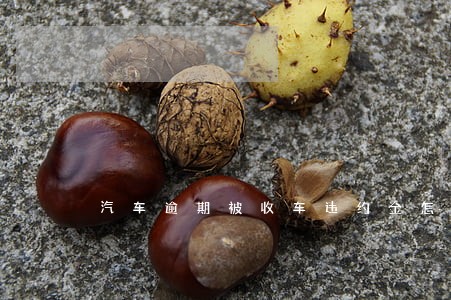 汽车逾期被收车违约金怎么算 汽车逾期被收车违约金怎么算