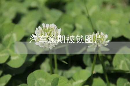 汽车逾期被锁图片 汽车逾期被锁图片