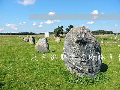 汽车逾期要高价拖车费 汽车逾期要高价拖车费