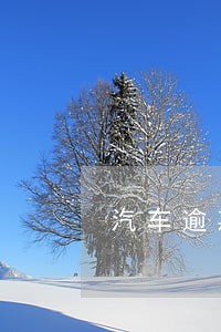 汽车逾期还款利息 汽车逾期还款利息
