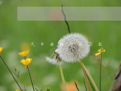 汽车逾期还款罚款 汽车逾期还款罚款