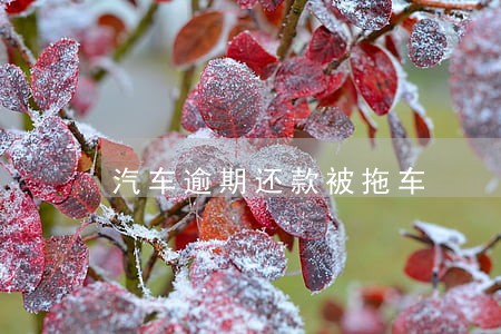 汽车逾期还款被拖车 汽车逾期还款被拖车