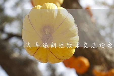 汽车逾期还款要交违约金吗 汽车逾期还款要交违约金吗