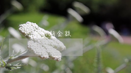 汽车逾期金额 汽车逾期金额