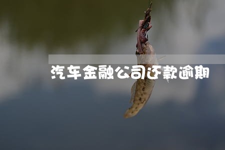 汽车金融公司还款逾期 汽车金融公司还款逾期