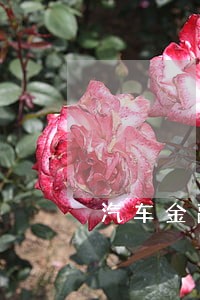 汽车金融公司逾期会上征信吗 汽车金融公司逾期会上征信吗