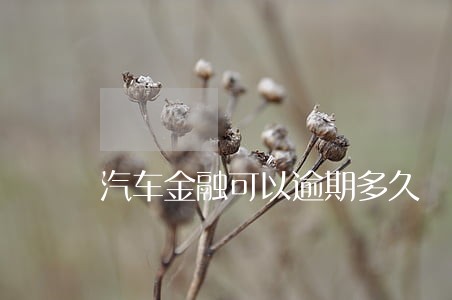 汽车金融可以逾期多久 汽车金融可以逾期多久