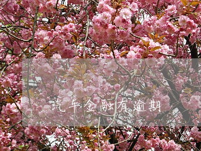 汽车金融有逾期 汽车金融有逾期