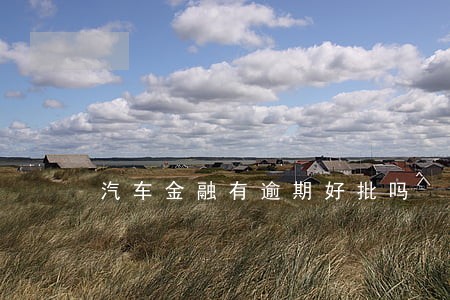 汽车金融有逾期好批吗 汽车金融有逾期好批吗