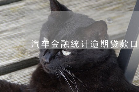 汽车金融统计逾期贷款口径 汽车金融统计逾期贷款口径