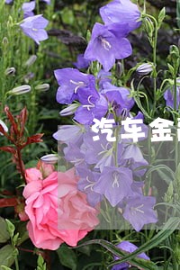 汽车金融绿本抵押逾期车被拖走 汽车金融绿本抵押逾期车被拖走