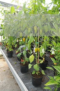 汽车金融行业坏逾期账 汽车金融行业坏逾期账