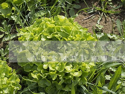 汽车金融贷后逾期拖车 汽车金融贷后逾期拖车