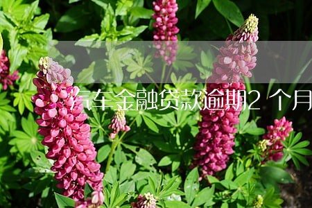 汽车金融贷款逾期2个月 汽车金融贷款逾期2个月