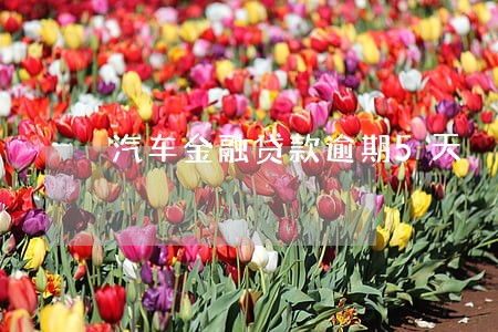 汽车金融贷款逾期5天 汽车金融贷款逾期5天